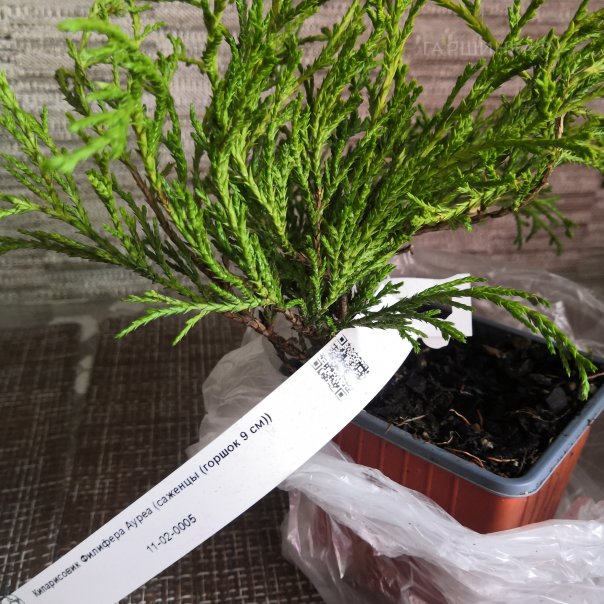 превью изображения отзыва