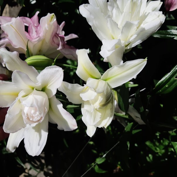 превью изображения отзыва