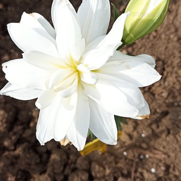 превью изображения отзыва