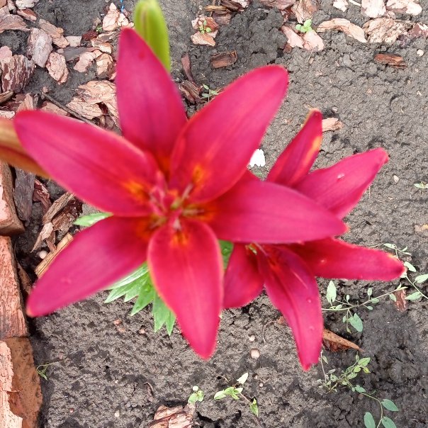 превью изображения отзыва