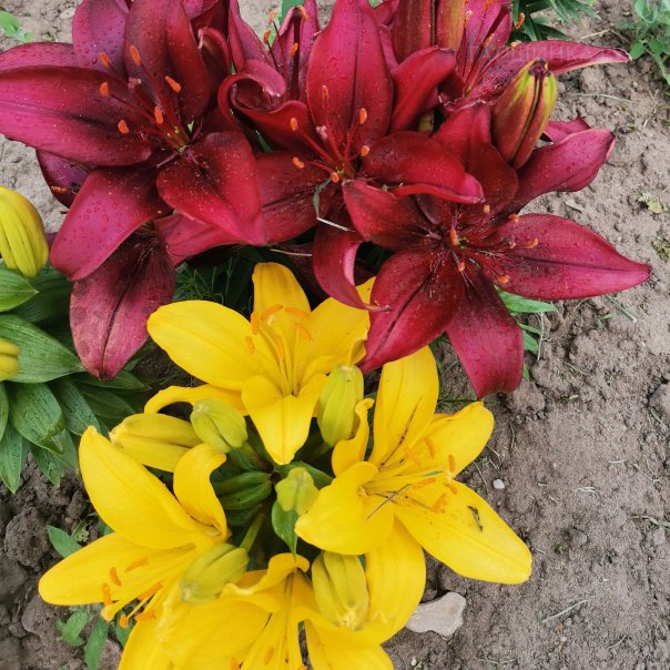 превью изображения отзыва