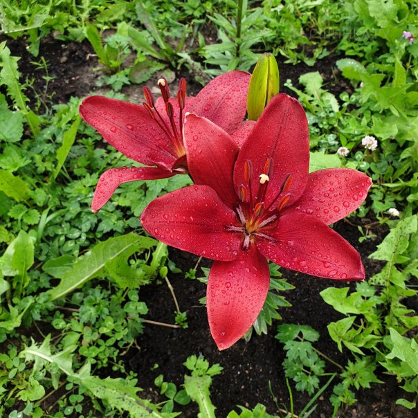 превью изображения отзыва