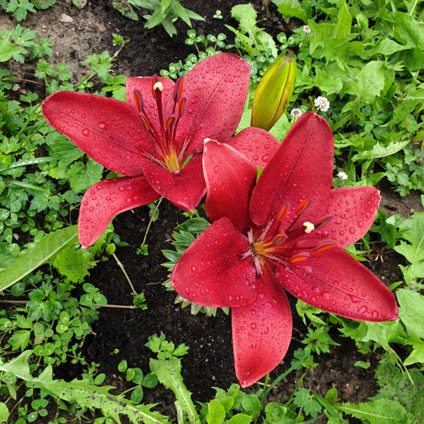 превью изображения отзыва