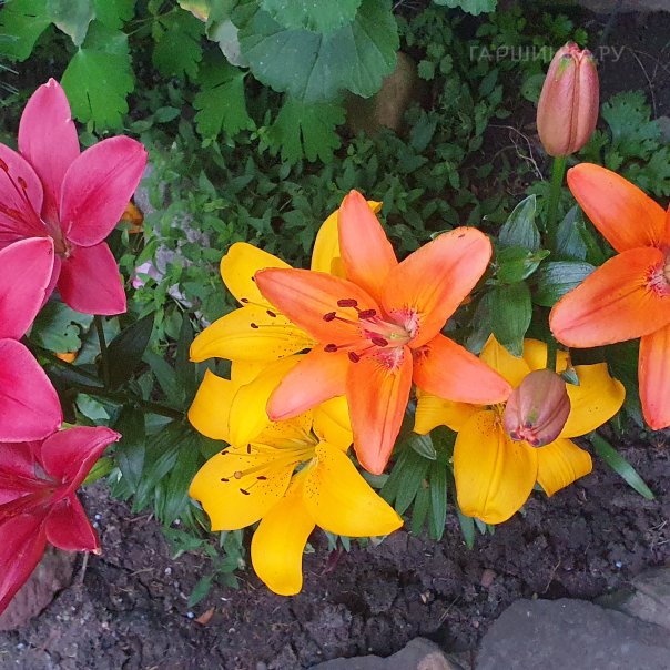 превью изображения отзыва