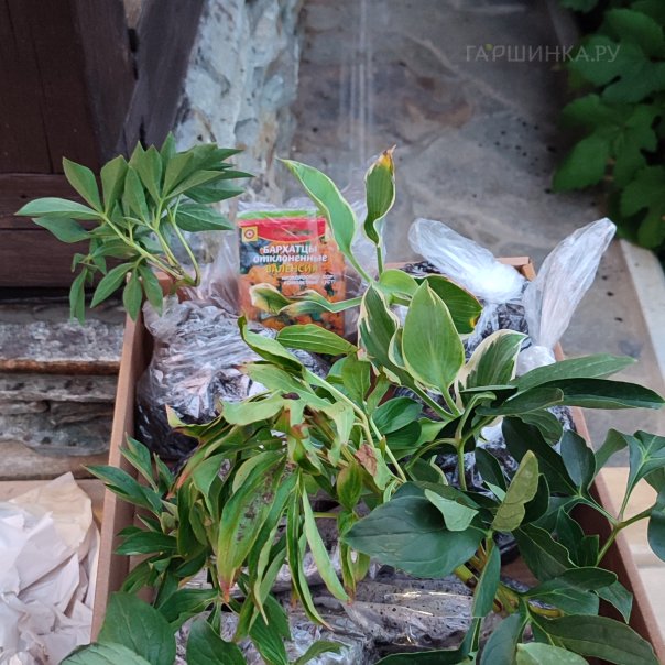 превью изображения отзыва