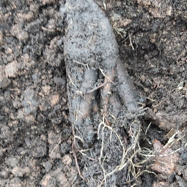 превью изображения отзыва