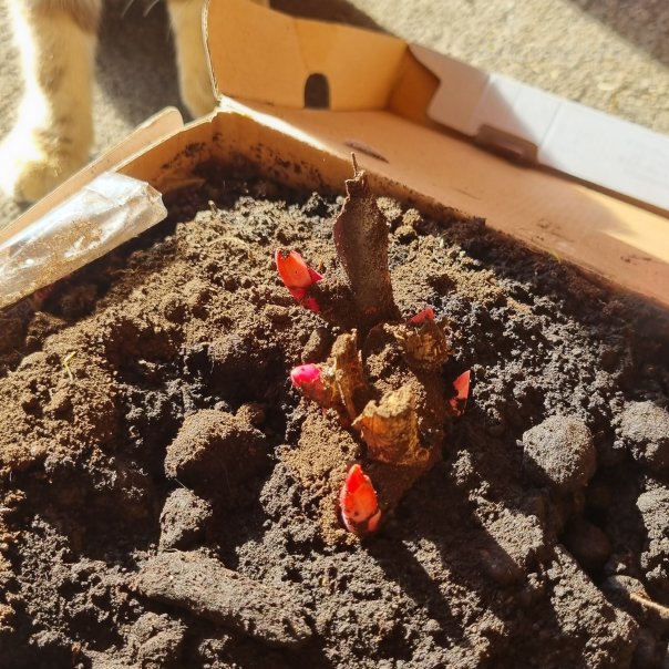 превью изображения отзыва