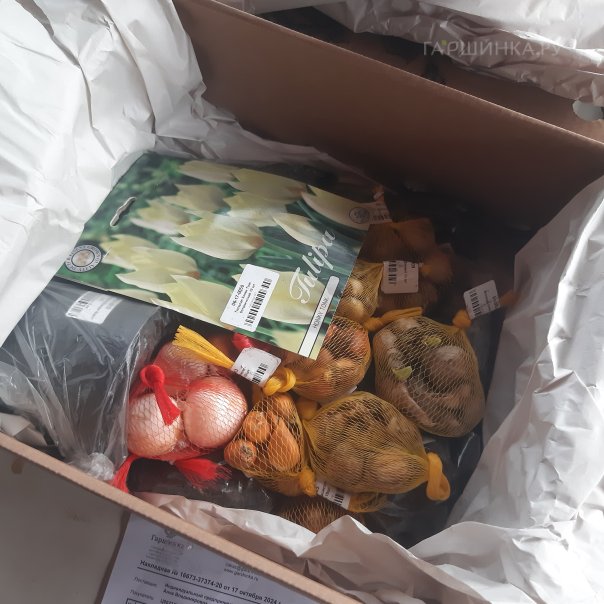 превью изображения отзыва