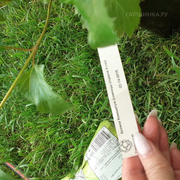 превью изображения отзыва