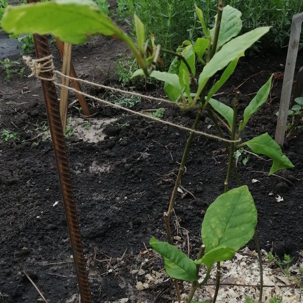 превью изображения отзыва