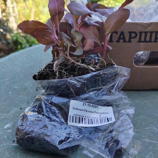 превью изображения отзыва