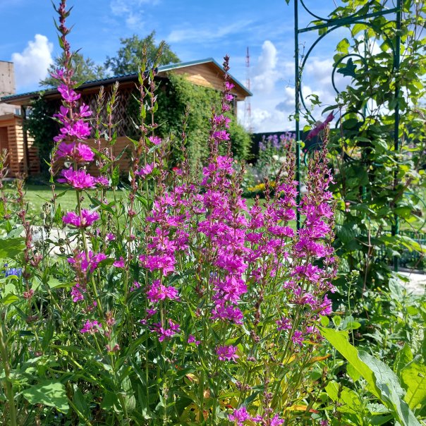 превью изображения отзыва