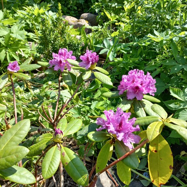 превью изображения отзыва