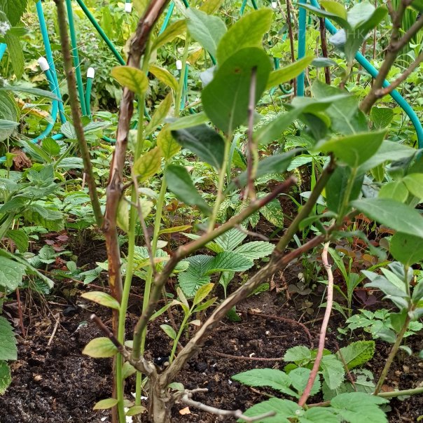 превью изображения отзыва