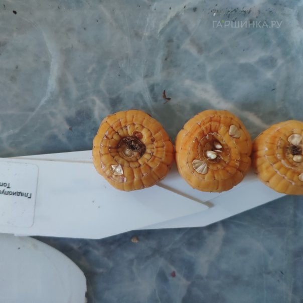 превью изображения отзыва