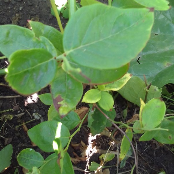 превью изображения отзыва