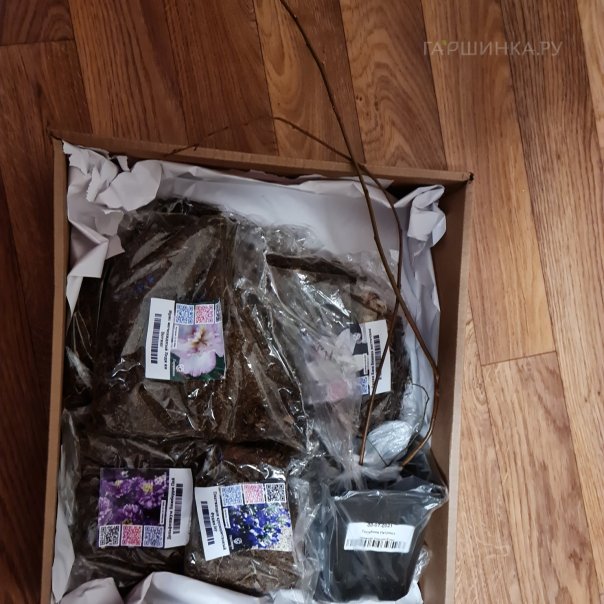 превью изображения отзыва