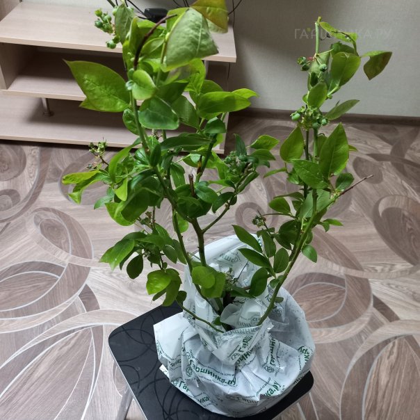 превью изображения отзыва