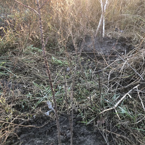 превью изображения отзыва