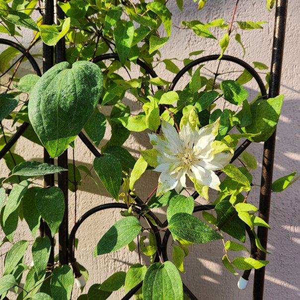 превью изображения отзыва