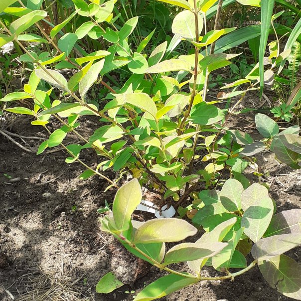 превью изображения отзыва