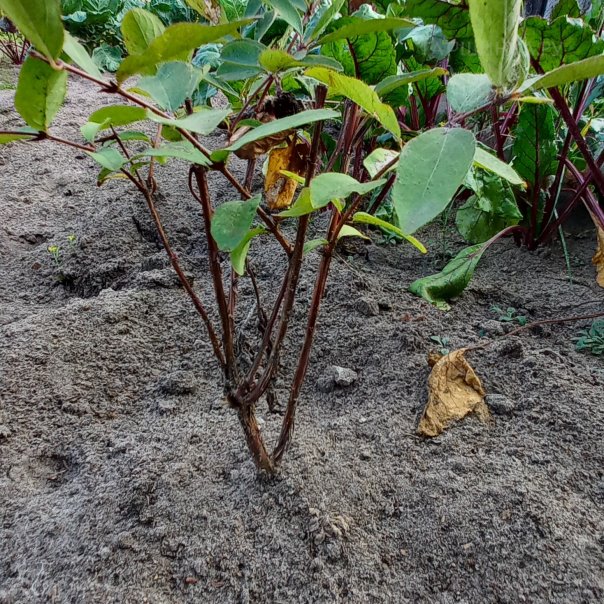 превью изображения отзыва