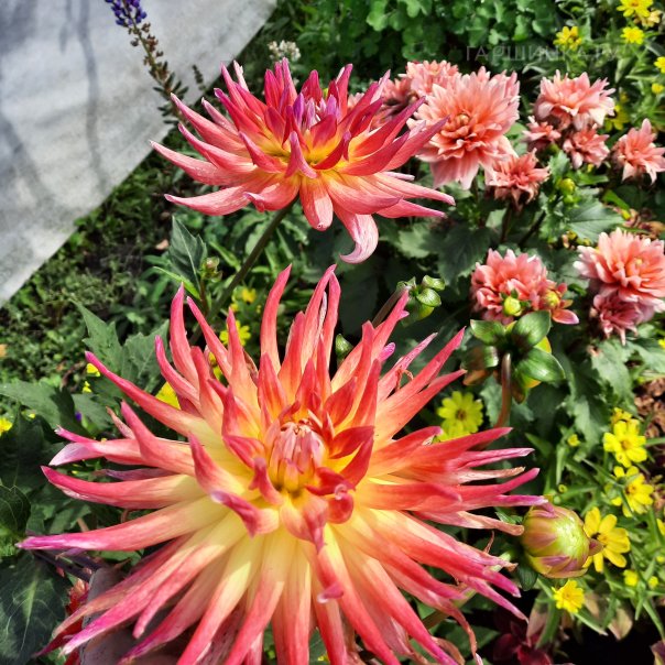 превью изображения отзыва