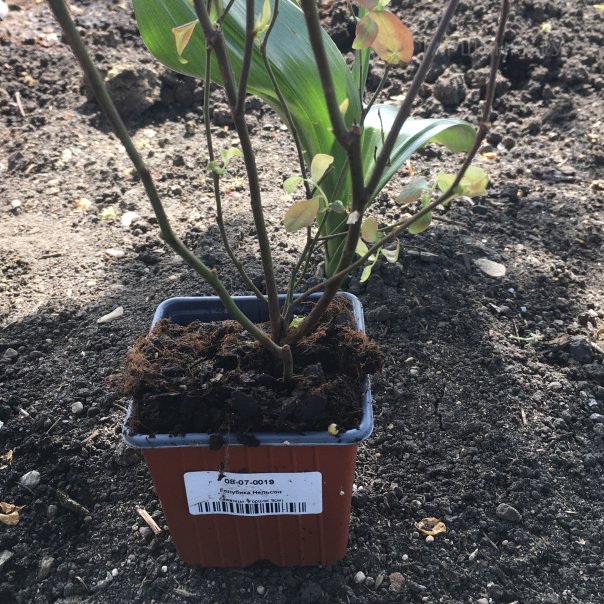 превью изображения отзыва