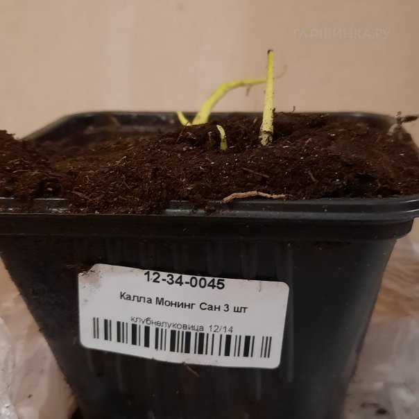 превью изображения отзыва