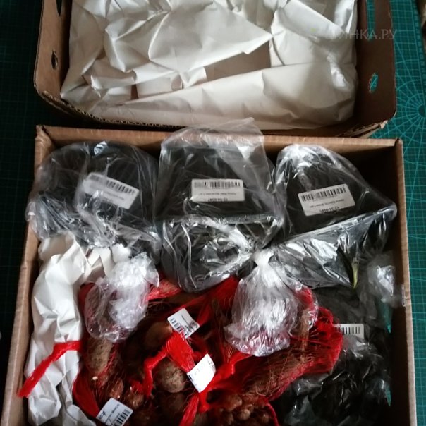 превью изображения отзыва