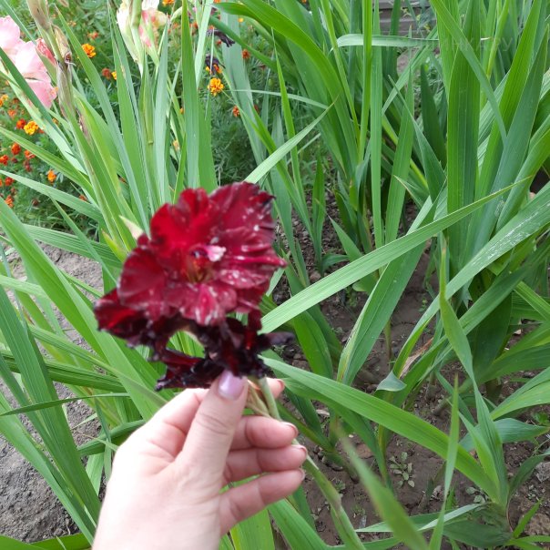 превью изображения отзыва