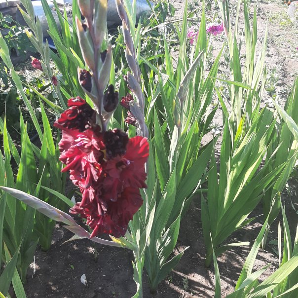 превью изображения отзыва