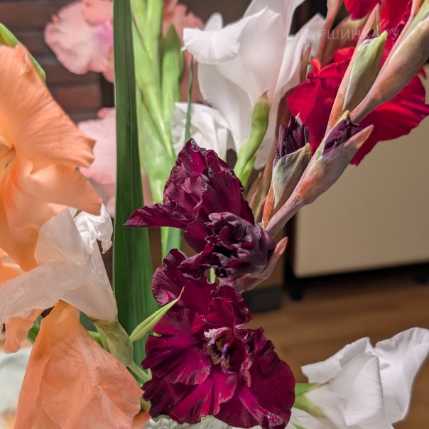 превью изображения отзыва