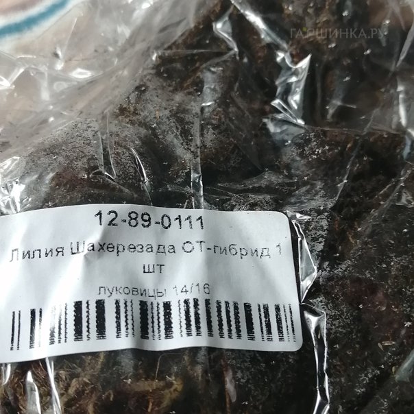 превью изображения отзыва