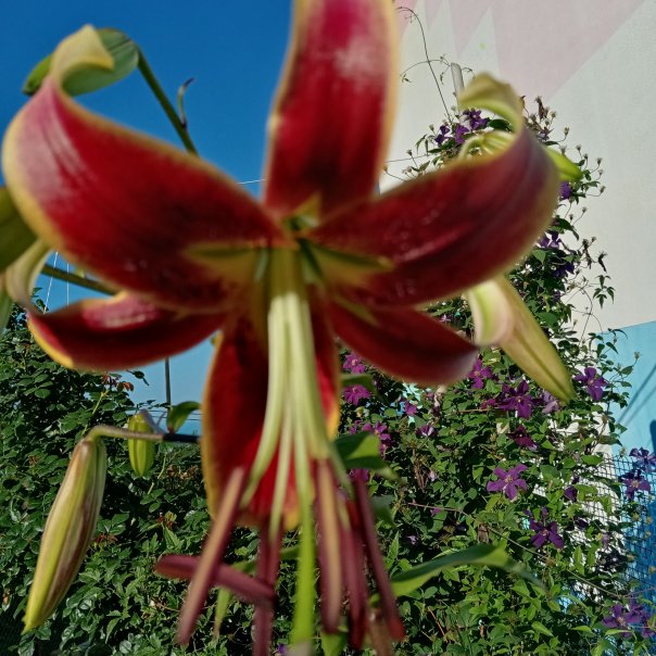 превью изображения отзыва