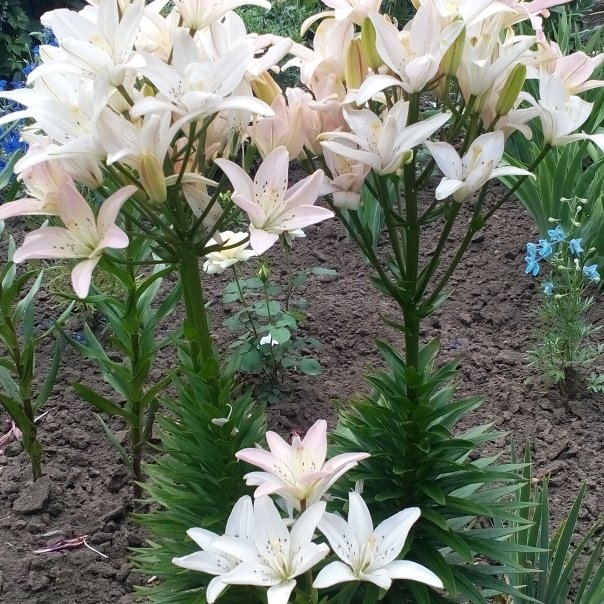 превью изображения отзыва