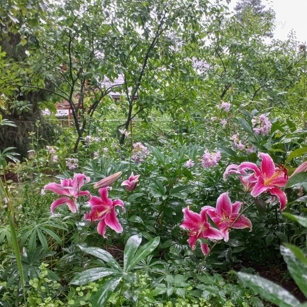 превью изображения отзыва