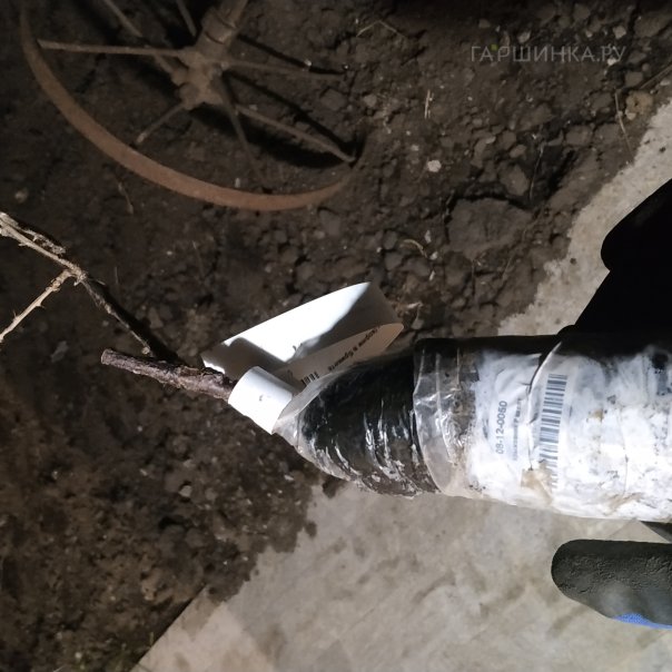 превью изображения отзыва