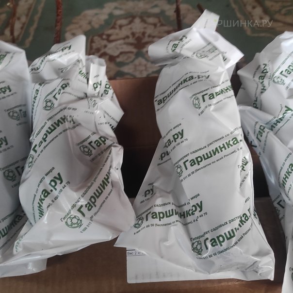 превью изображения отзыва