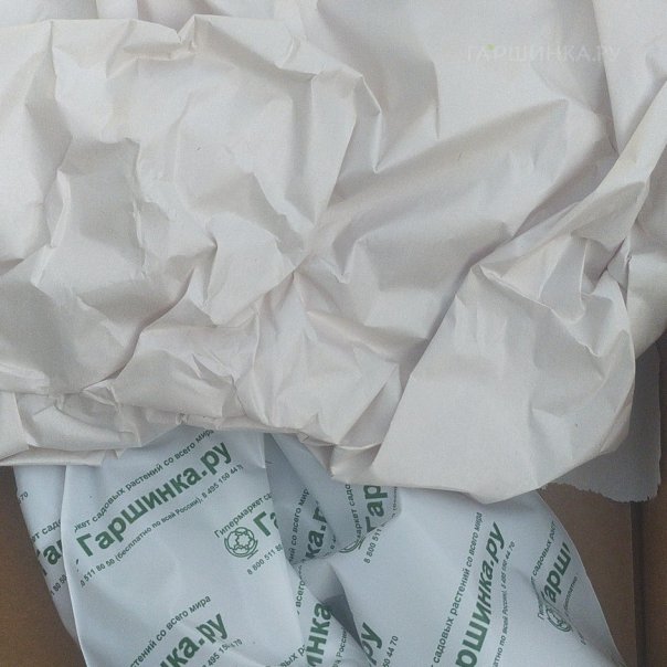 превью изображения отзыва