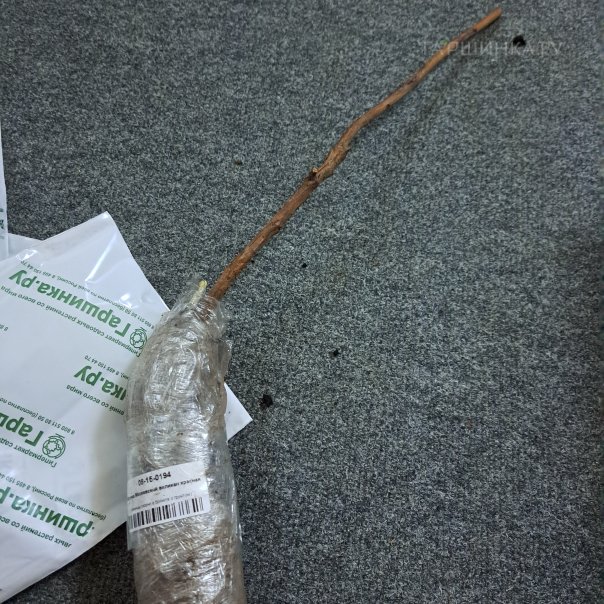 превью изображения отзыва