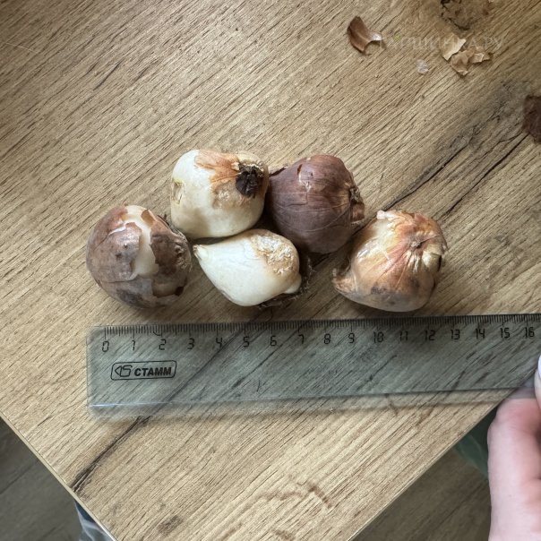 превью изображения отзыва