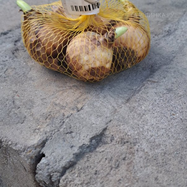 превью изображения отзыва