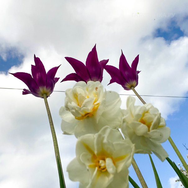 превью изображения отзыва