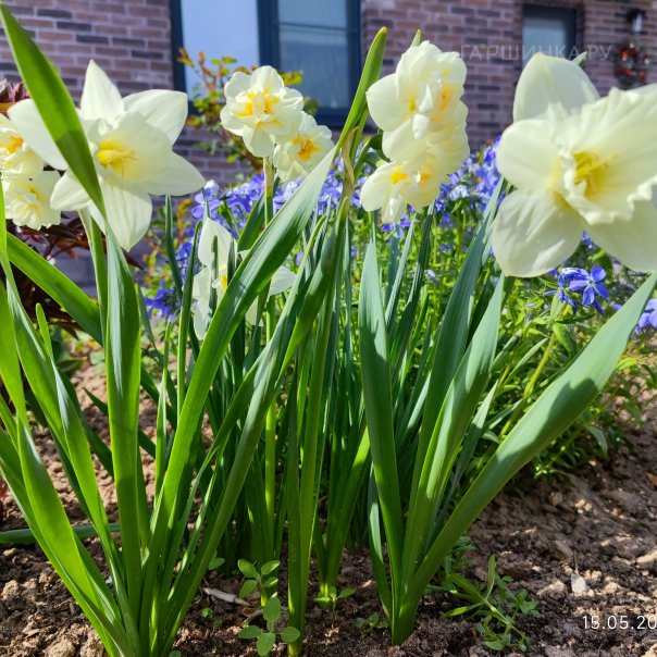 превью изображения отзыва