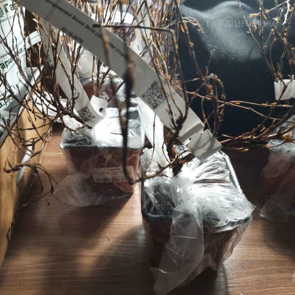 превью изображения отзыва