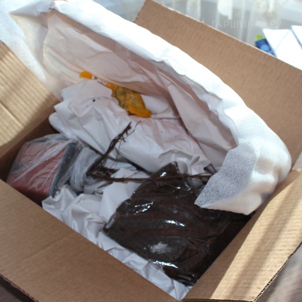 превью изображения отзыва