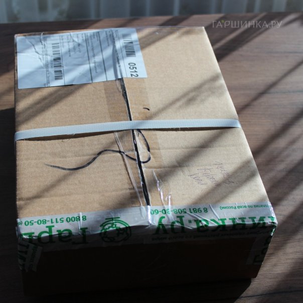 превью изображения отзыва