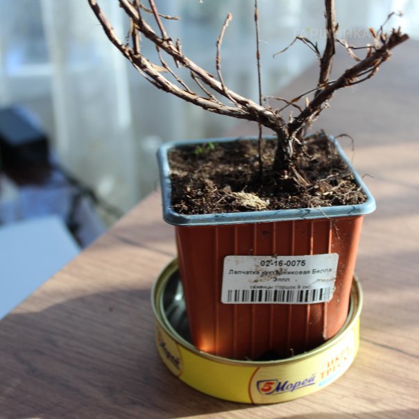 превью изображения отзыва