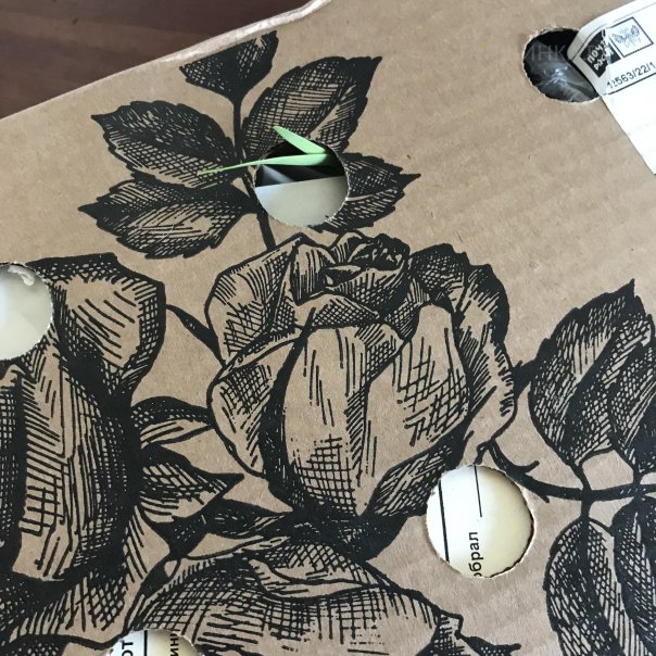 превью изображения отзыва